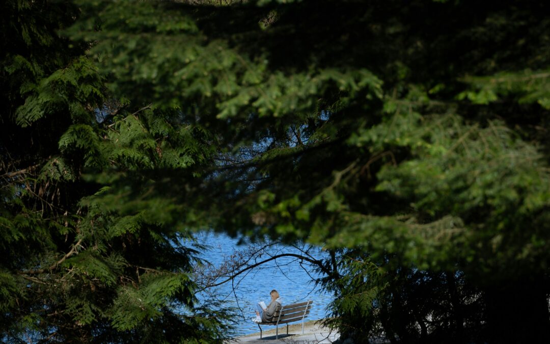 Gen Y und Z in Schweizer Unternehmen: Wie echter intergenerationeller Dialog gelingt